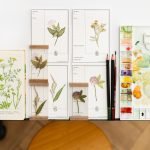 Botanical Specimen Cards Bolster & Benefield sketchpad