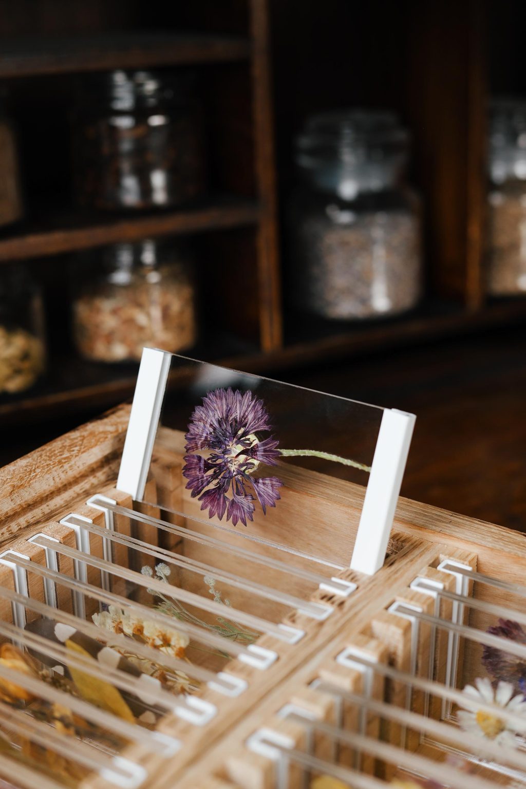 specimen flower collection box
