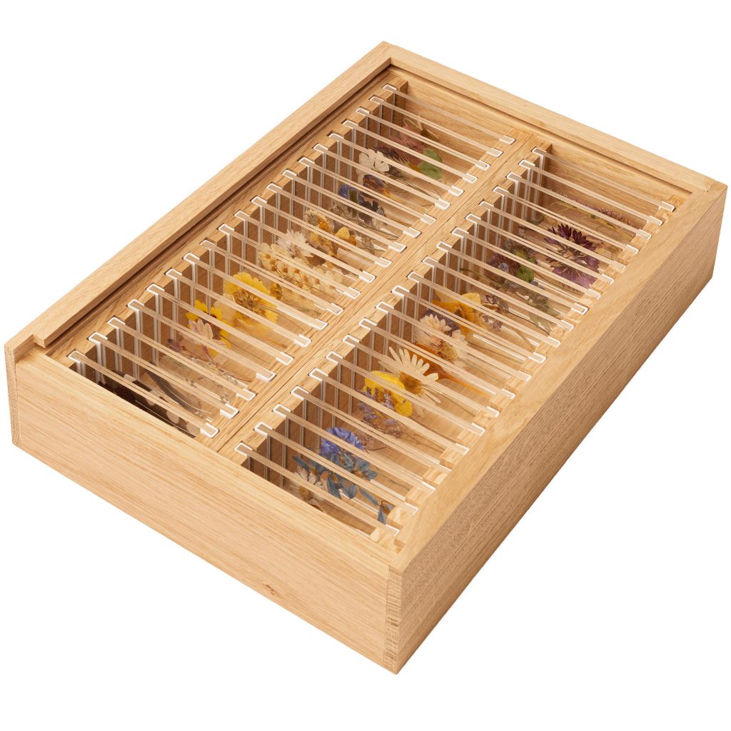 flower collection box specimen