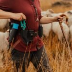 sheep Shepherd toolbelt