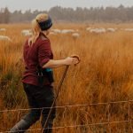 sheep Shepherd toolbelt