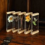 Flower display frames