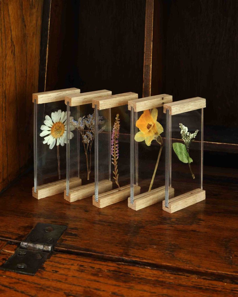 Flower display frames