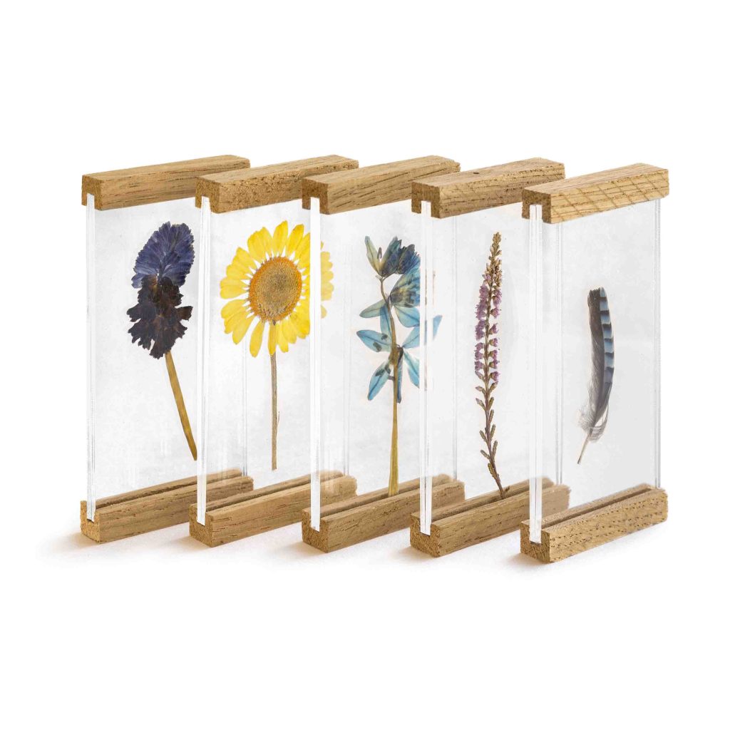 Flower display frames